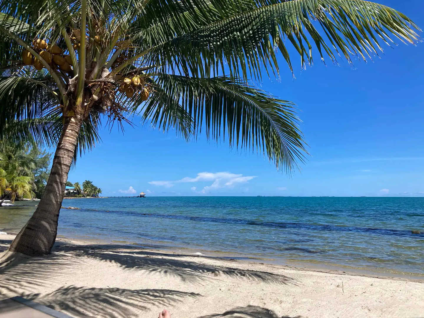 beach1r-0.5