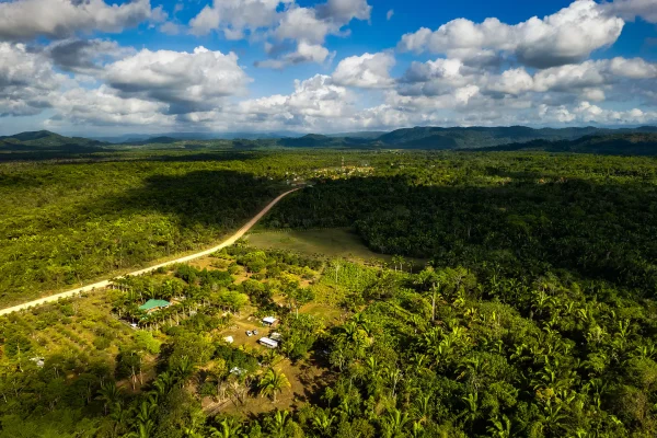 drone4-1027 farm-jungle-shade lh