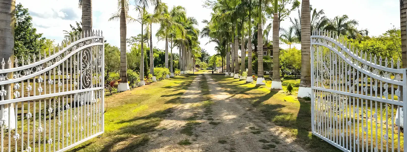entrance-gateL1050HR-with-royal-palms-to-luxury_16-6