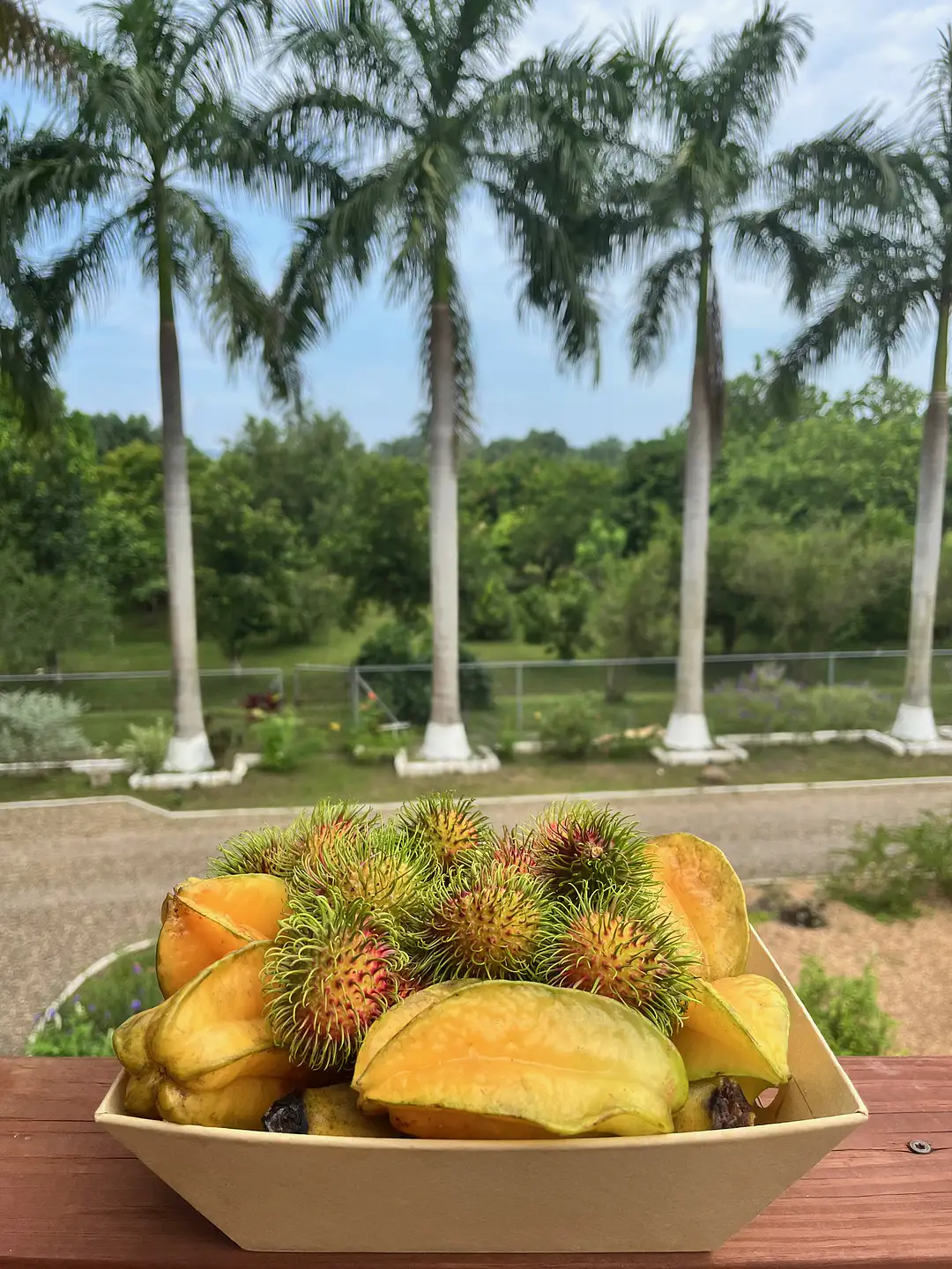 fruits-view IMG_4221