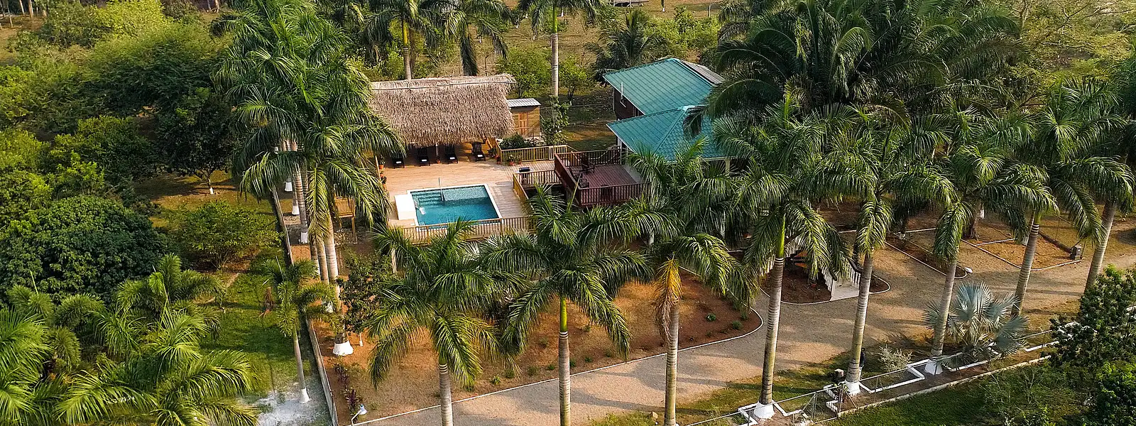 home2 Aerial_ view of house and pool, surrounded by splendid royal palms_16-6