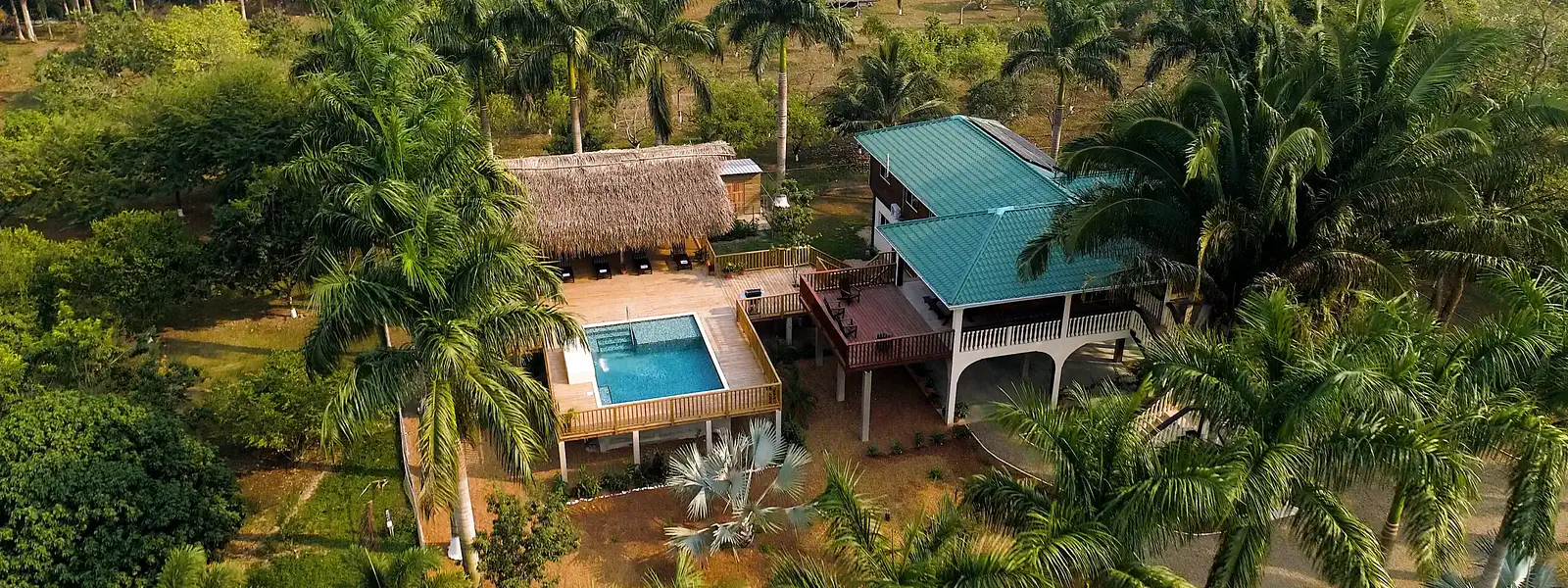 home3 aerial_ EXOTICA-FRUIT-FARMS-DRONE.Still015_16-6