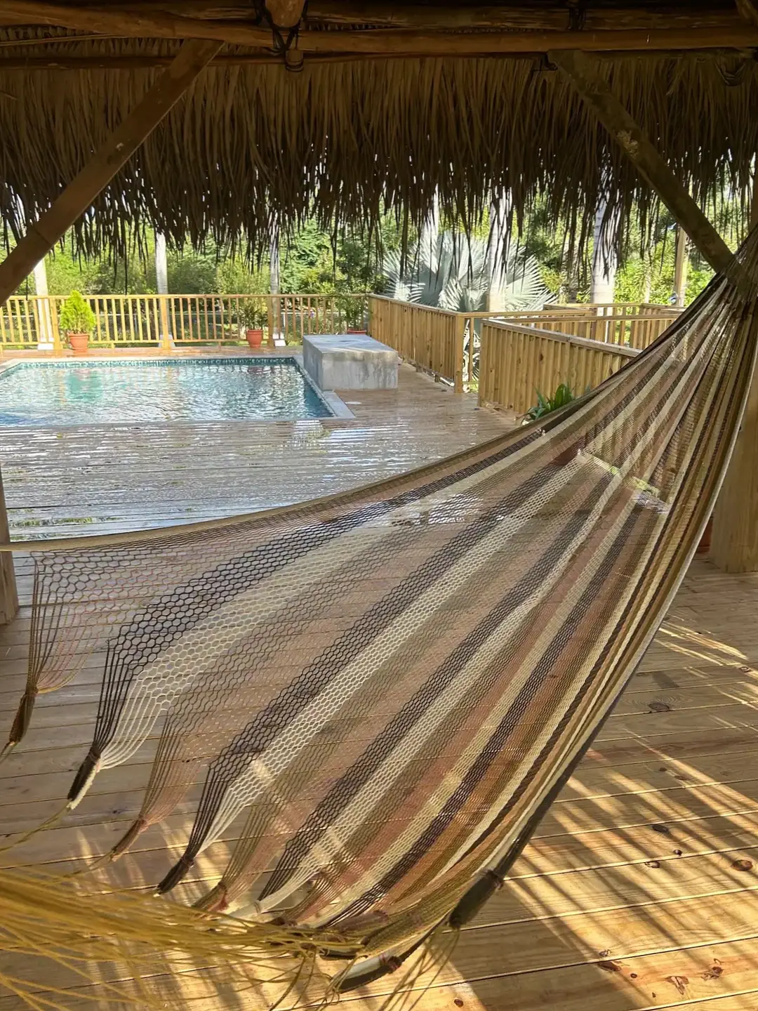 lounger tt